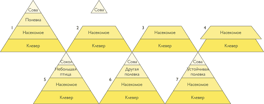 После человека. Зоология будущего - i_021.png
