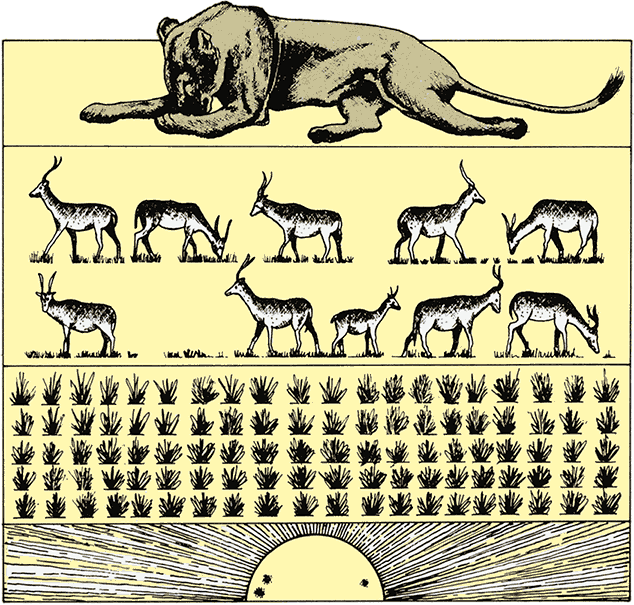 После человека. Зоология будущего - i_022.png