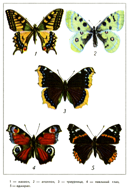 Путешествие на всю жизнь - i_008.png