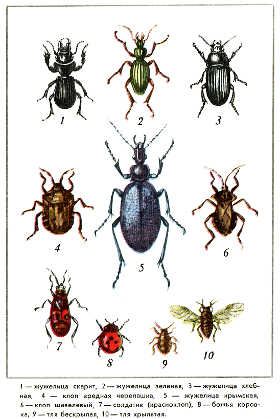 Путешествие на всю жизнь - i_017.png