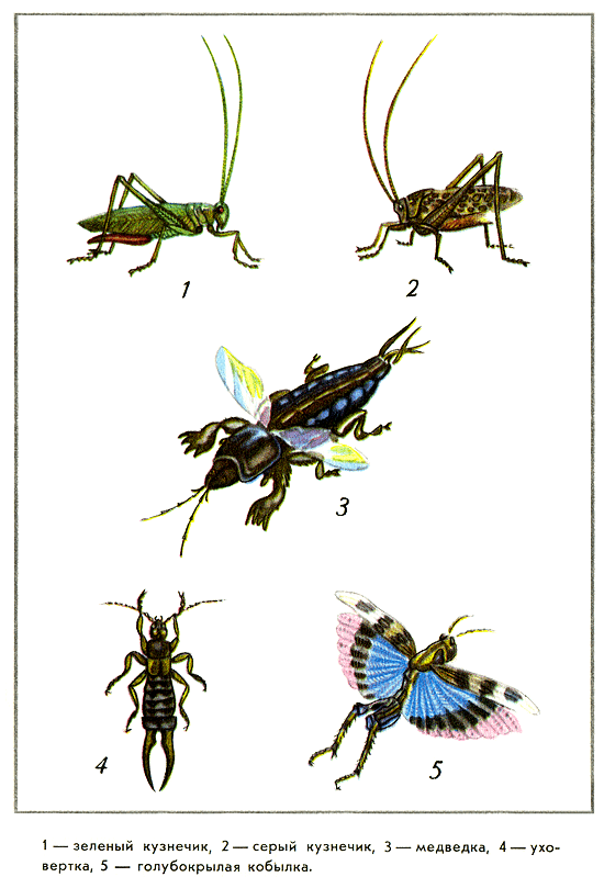 Путешествие на всю жизнь - i_020.png