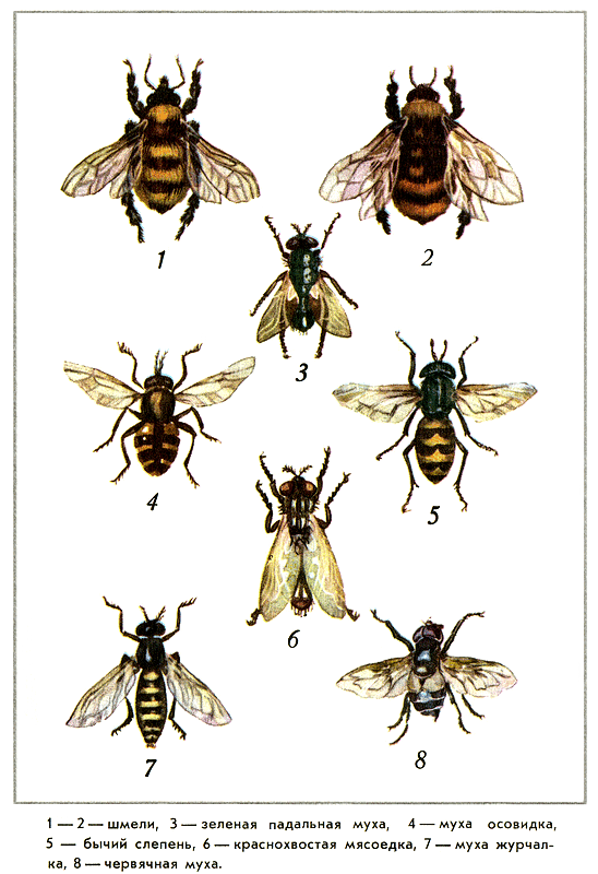 Путешествие на всю жизнь - i_021.png