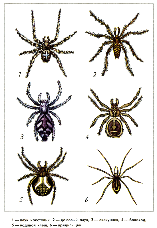 Путешествие на всю жизнь - i_022.png