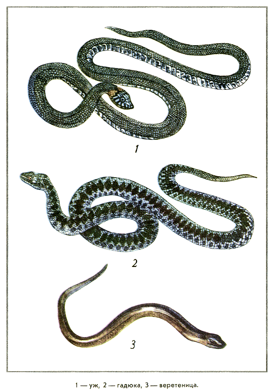 Путешествие на всю жизнь - i_025.png