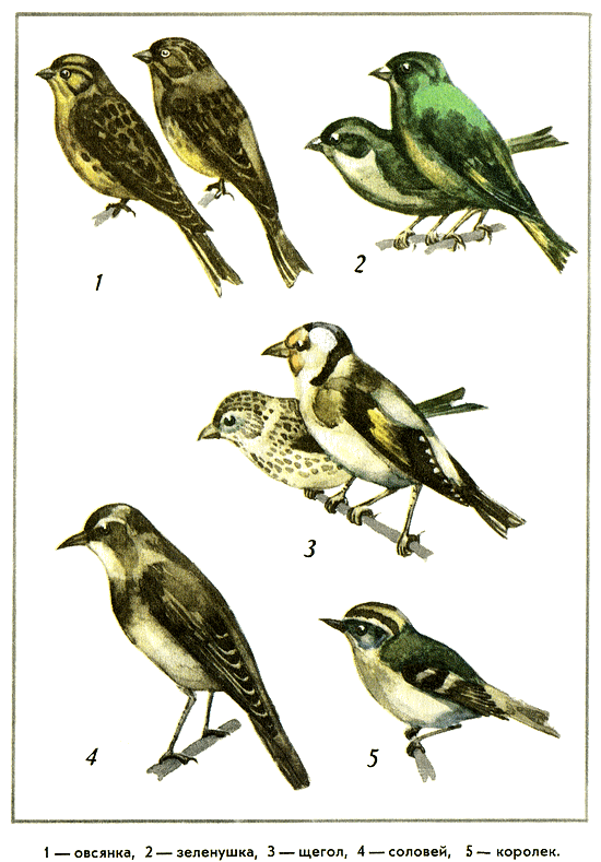 Путешествие на всю жизнь - i_029.png