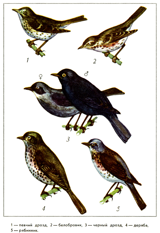 Путешествие на всю жизнь - i_032.png