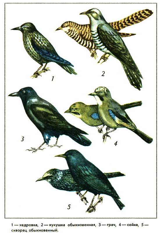 Путешествие на всю жизнь - i_033.png