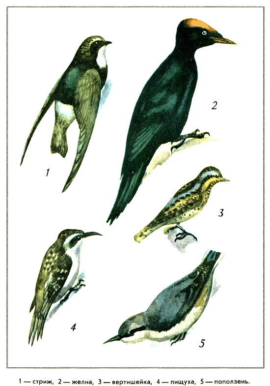 Путешествие на всю жизнь - i_034.png