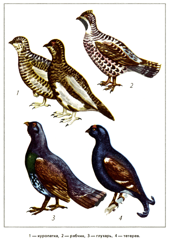 Путешествие на всю жизнь - i_035.png