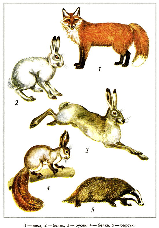 Путешествие на всю жизнь - i_039.png