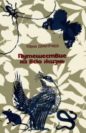 Путешествие на всю жизнь - автор Дмитриев Юрий 