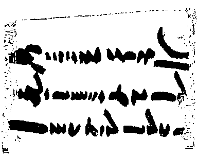 В поисках Библии: Тайны древних манускриптов - i_012.png