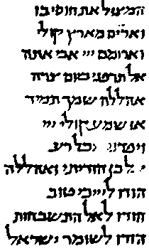 В поисках Библии: Тайны древних манускриптов - i_025.png