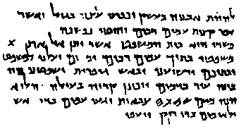 В поисках Библии: Тайны древних манускриптов - i_026.png