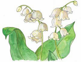 «Волшебные места, где я живу душой…» Пушкинские сады и парки - i_039.jpg