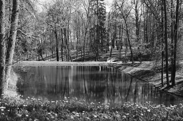 Наш влюбленный Пушкин - i_085.jpg