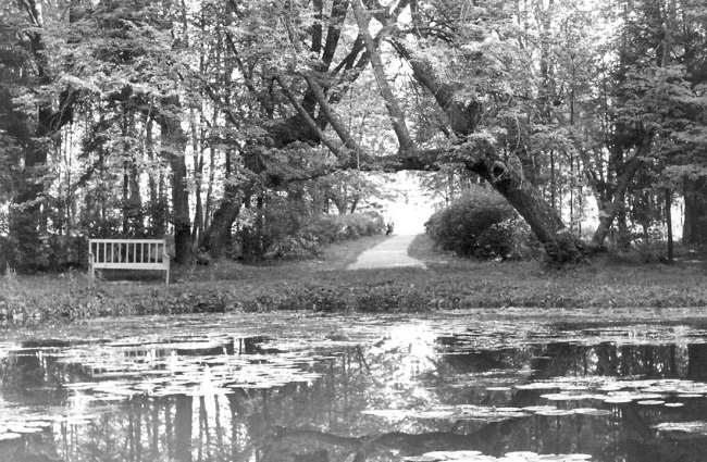 «Приют задумчивых дриад». Пушкинские усадьбы и парки - i_036.jpg