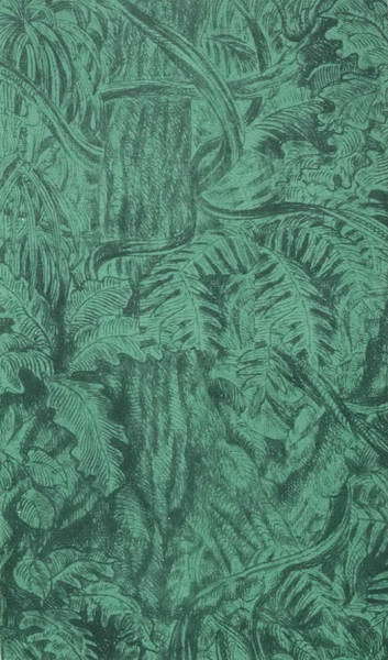 По джунглям Конго (Записки геолога) - _42.jpg