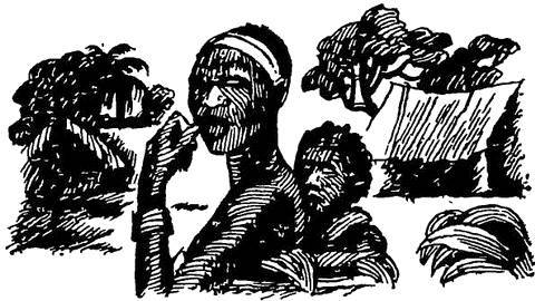 По джунглям Конго (Записки геолога) - _12.jpg