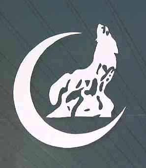 Терроризм и террористы. Справочник - _.jpg_81