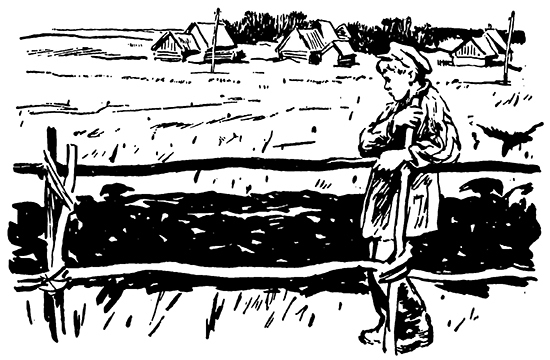 Приключения маленького тракториста - _5.jpg