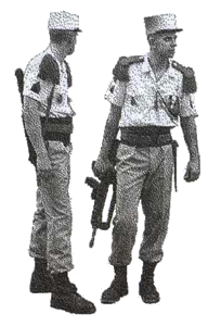 Повседневная жизнь Французского Иностранного легиона: «Ко мне, Легион!» - i_003.png