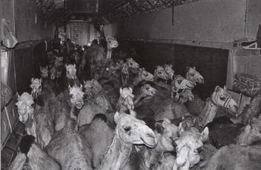 Авиация и время 2013 06 - pic_83.jpg