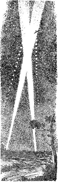 Обыкновенное дело - doc2fb_image_02000010.png