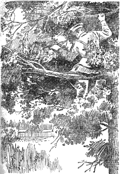 Обыкновенное дело - doc2fb_image_02000014.png