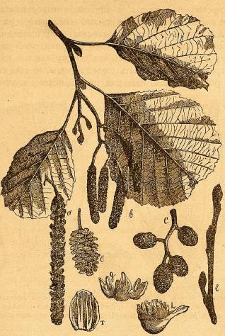 Почему цветут цветы - _10.jpg