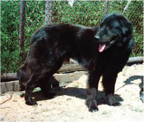 По следам Чингиз-хана. Генетик в центре Азии - _32.jpg