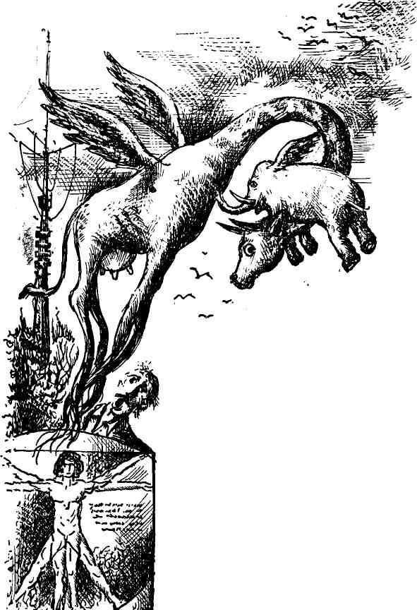 Калейдоскоп - img_19.jpeg