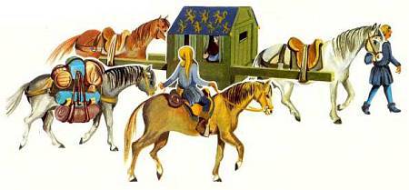 Лошади - _15.jpg