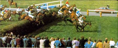 Лошади - _32.jpg