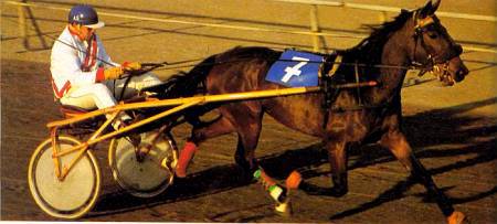 Лошади - _33.jpg