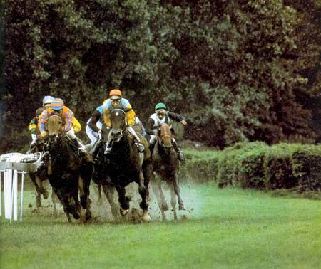 Лошади - _34.jpg