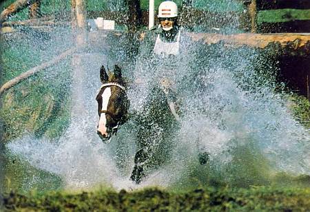 Лошади - _35.jpg