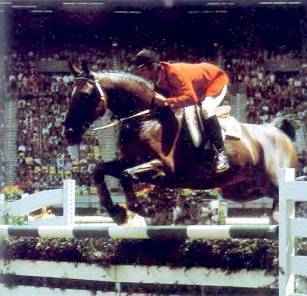 Лошади - _36.jpg