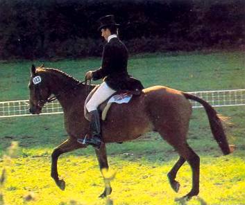 Лошади - _37.jpg