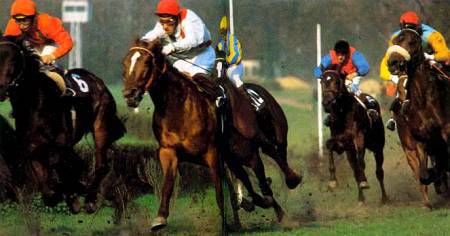 Лошади - _43.jpg