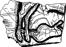 История религии (Книга 1) - pic_17.png