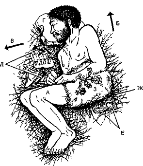 История религии (Книга 1) - pic_3.png