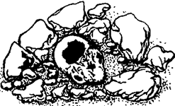 История религии (Книга 1) - pic_6.png