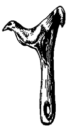 История религии (Книга 1) - pic_7.png