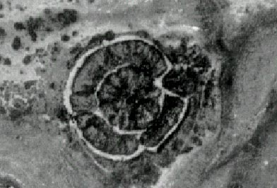 Великая тайна Аркаима - ic0183b4c99