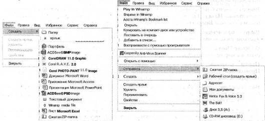 Самоучитель современного пользователя ПК - Any2FbImgLoader220