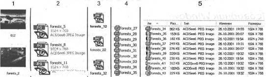 Самоучитель современного пользователя ПК - Any2FbImgLoader226