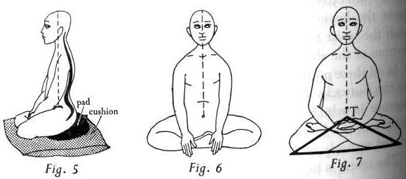 Практика дзэн - picture233.jpg