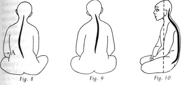 Практика дзэн - picture234.jpg