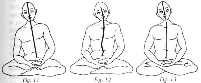 Практика дзэн - picture237.jpg